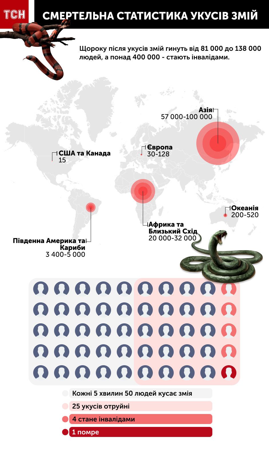 смертельна статистика укусів змій, інфографіка