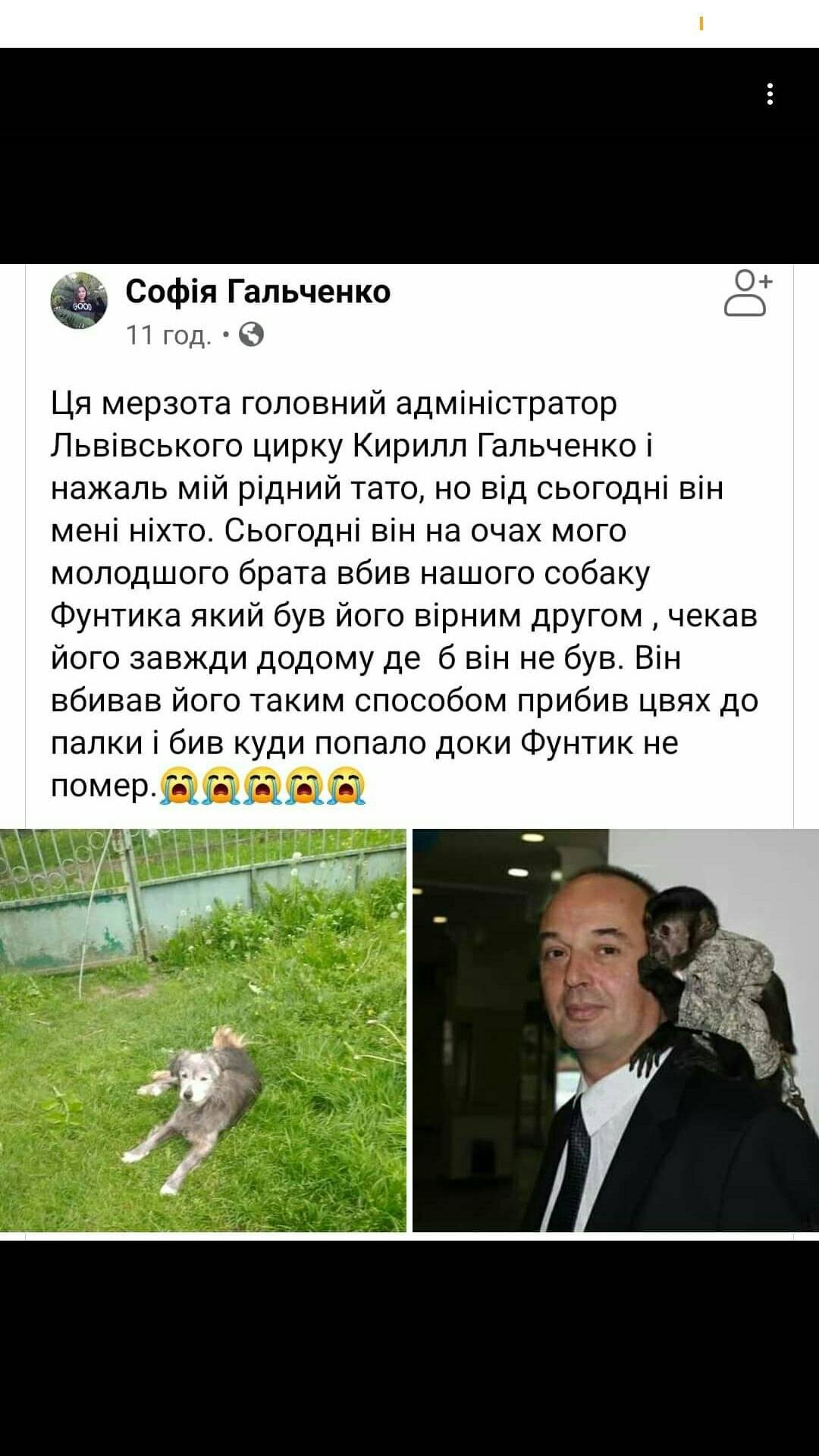 Пост Софії Гальченко, скріншот із фейсбуку