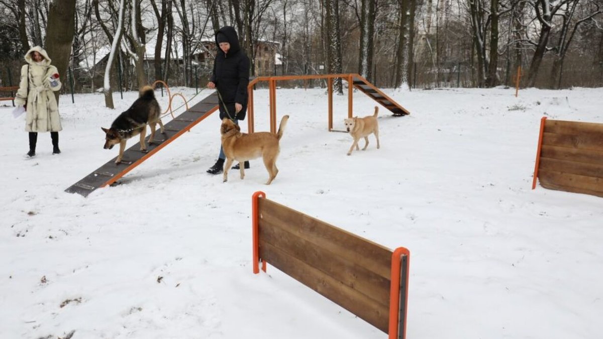 У Львові відкрили ще один тренувально-вигульний майданчик для собак: фото