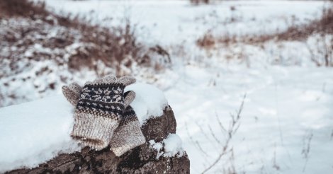 "Мамо, будь ласка, не треба!": релігійна фанатичка у лютий мороз завела голими в ліс трьох дітей