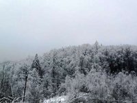 У Карпатах зберігається загроза сходження снігових лавин - ДСНС