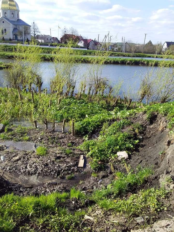 В Дублянах на Львівщині зсув ґрунту загрожує давньому дендропарку