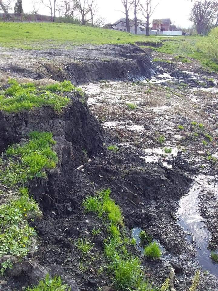 В Дублянах на Львівщині зсув ґрунту загрожує давньому дендропарку