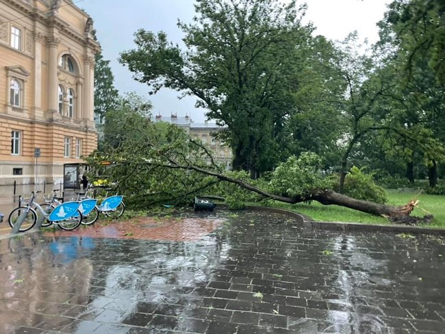 Буря во Львове: затоплены улицы, повалены деревья. Мэр призывает горожан оставаться дома 03