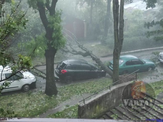 Буря во Львове: затоплены улицы, повалены деревья. Мэр призывает горожан оставаться дома 04