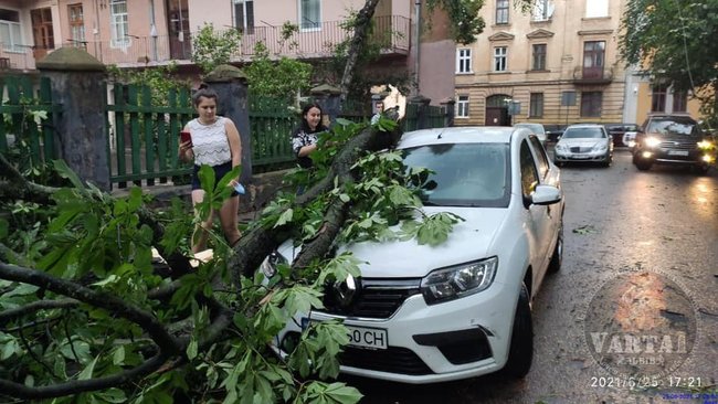 Буря во Львове: затоплены улицы, повалены деревья. Мэр призывает горожан оставаться дома 05