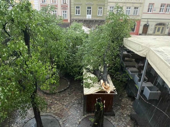 Буря во Львове: затоплены улицы, повалены деревья. Мэр призывает горожан оставаться дома 01
