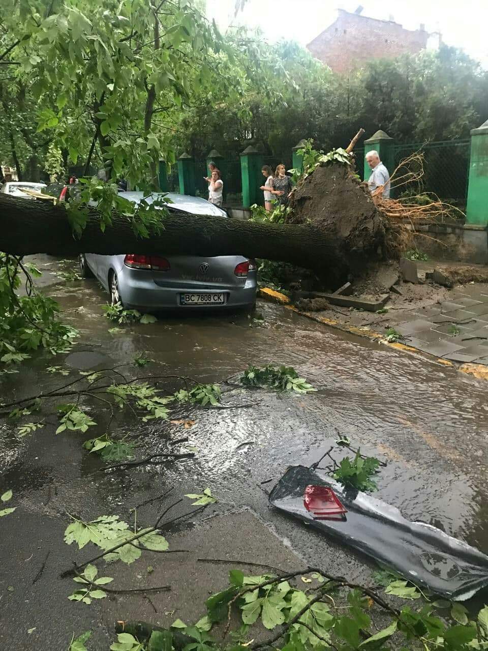 Дерево впало на автомобіль у львові після гроза 25 червня 2021