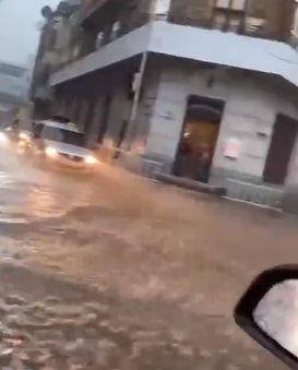 У Львові після сильного дощу повалені дерева і затоплені вулиці. ФОТО