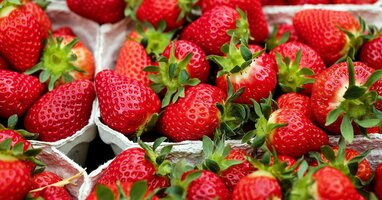 Ріст цін на ягоди в Україні: з чим пов’язаний та яким цьогоріч був врожай (відео)