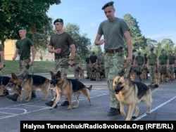Кінологи зі службовими собаками готуються до військового параду