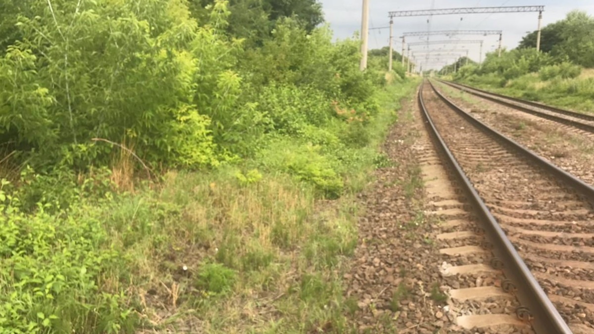Из поезда "Львов - Мариуполь" во время движения выпал парень: он в реанимации