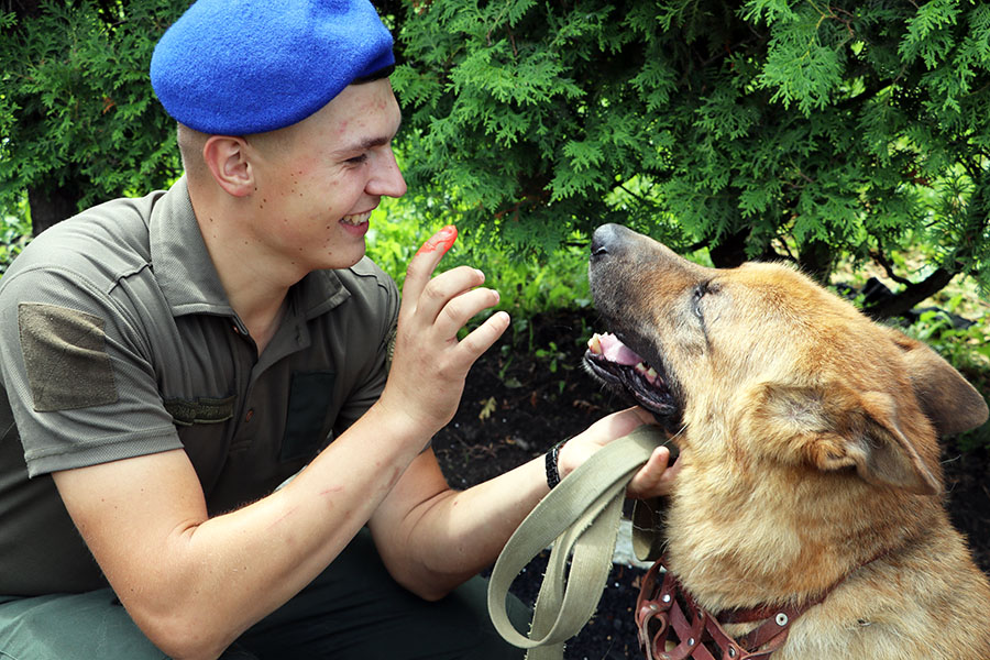 Проект «Календарь войны»: во Львове состоялся парад служебных собак - фото 2