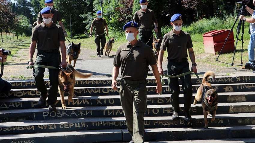 Проект «Календарь войны»: во Львове состоялся парад служебных собак