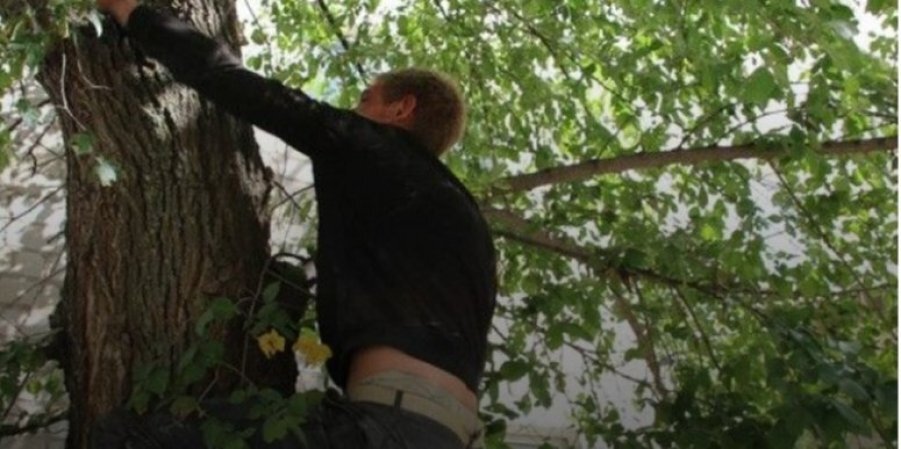 Хлопець відмовлявся говорити з поліцейськими, але йому все ж довелося злізти з дерева (Фото: zaxid.net)