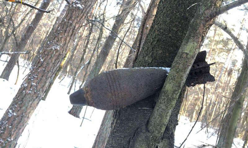 Во Львовской области на дереве нашли почти 80-летнюю мину (ФОТО)