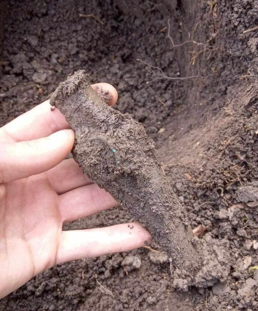 На Львівщині знайшли мідну сокиру, яка належала трипільцям