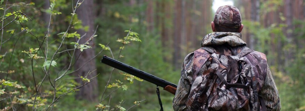 Попри заборону браконьєри полюють на Львівщині: що кажуть екологи