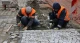перестеляння сірої мозаїки на площі Ринок у Львові