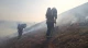 пожежа на території ботанічної пам'ятки на Прикарпатті