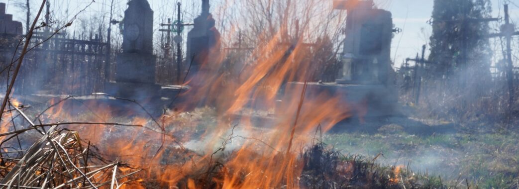 Вогнеборці на Львівщині щодня гасять по 10-15 пожеж сухостою: еколог пояснює причини і наслідки дій паліїв
