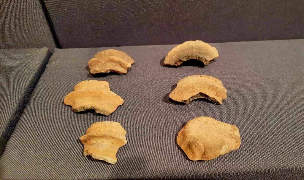 Українські науковці показали артефакти трипільської культури, знайдені на Львівщині та Прикарпатті