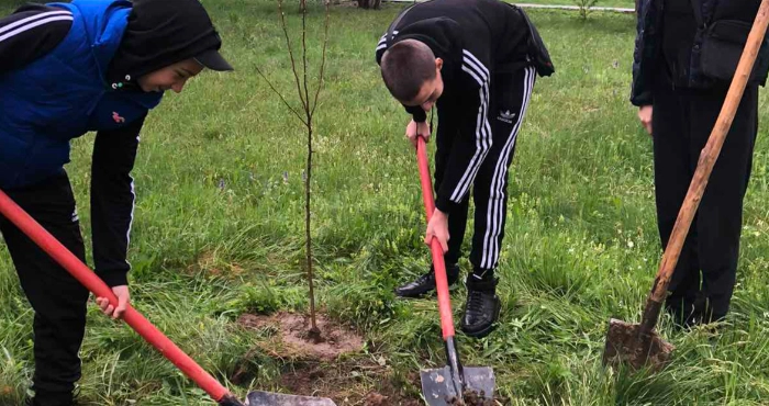 В Моршинській громаді учні висадили дерева до Всеукраїнського дня Довкілля