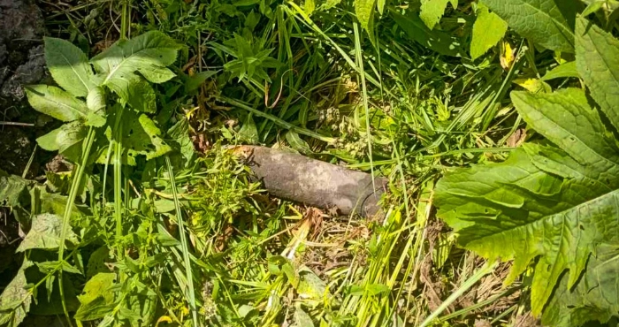 На Стрийщині, в селі Дуліби під час прогулянки знайшли снаряд часів II Світової війни